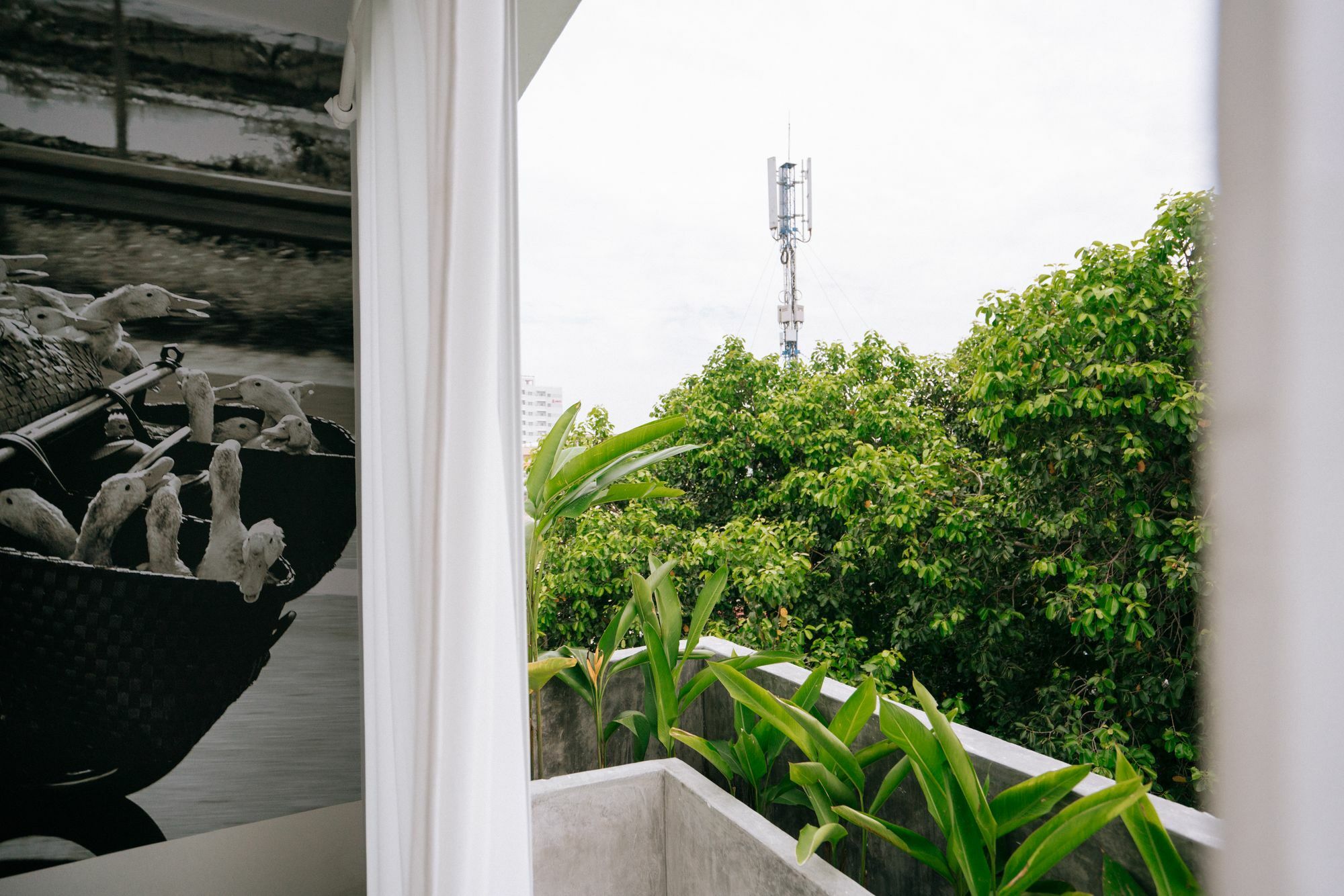 Iam Saigon Homestay Ho Şi Min Dış mekan fotoğraf