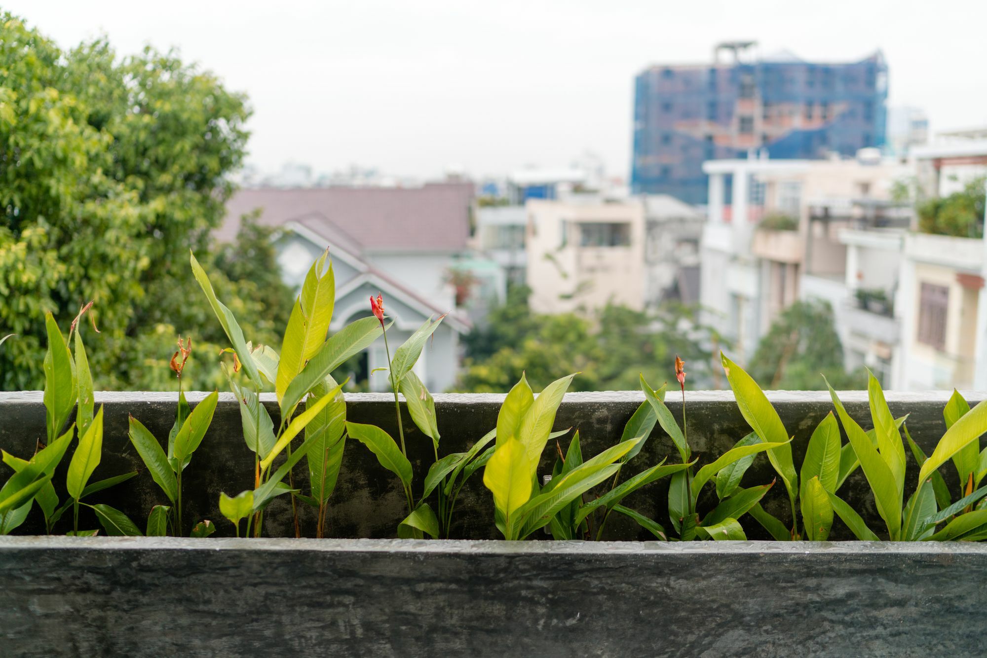 Iam Saigon Homestay Ho Şi Min Dış mekan fotoğraf